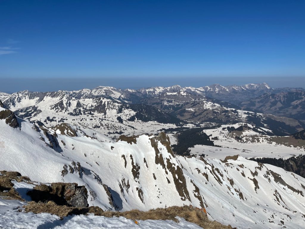 IMG_3689